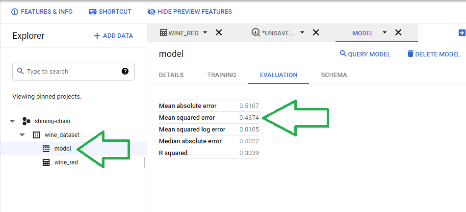 Model Evaluation