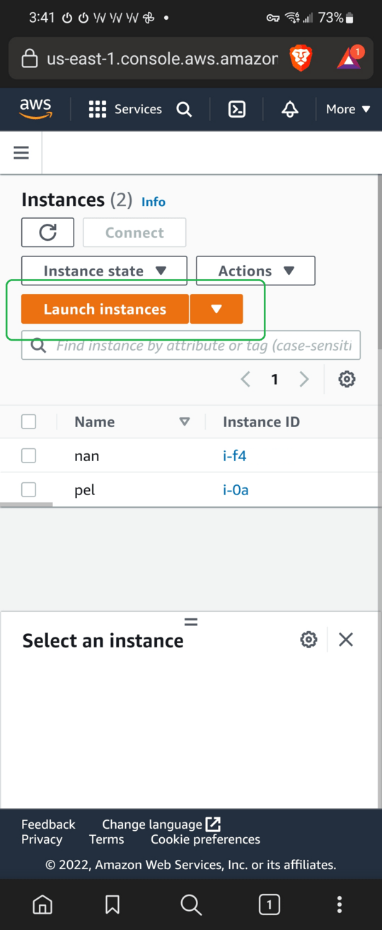 Launch Instances